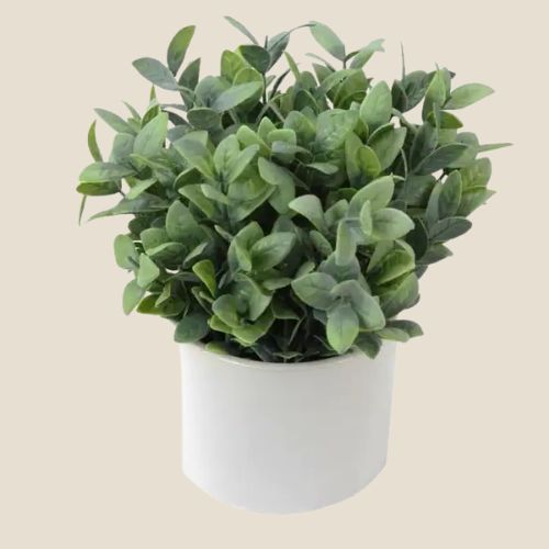 artificial frosted ruscus plant